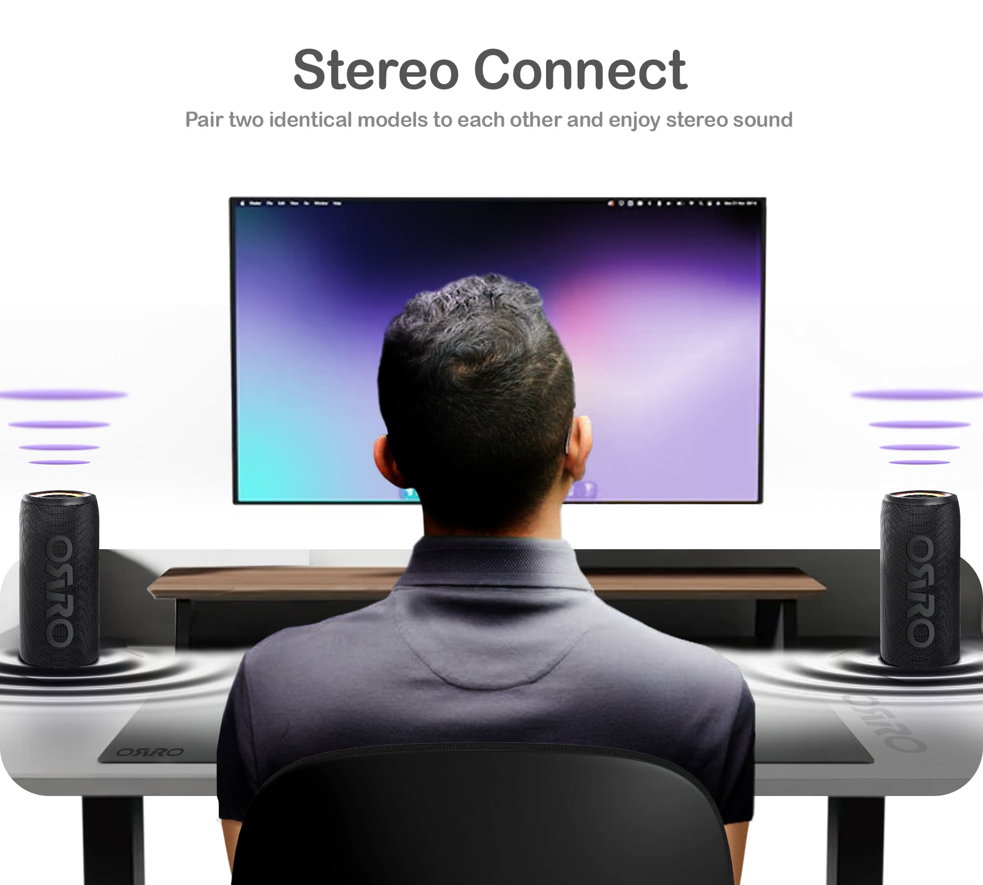 Pillar Pro Series · Portable Speaker